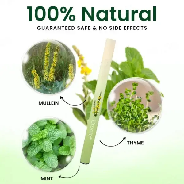 Mullein Purifying Lung Stick