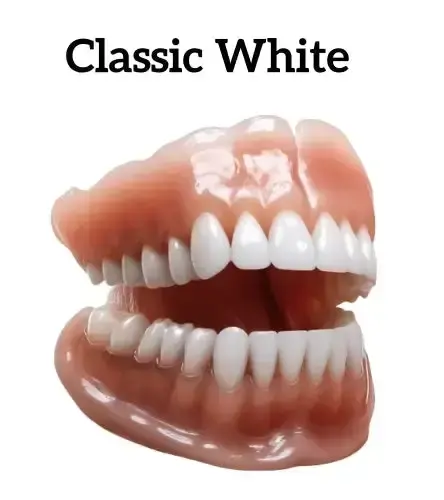 Advanced Customized Full Denture Set - Image 2