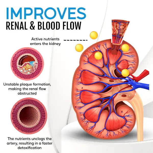 Kidney Boost & Care Inhaler - Image 5