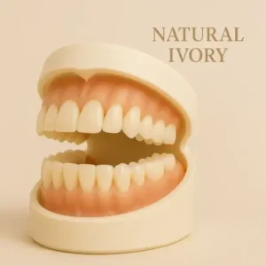 – Premium Denture