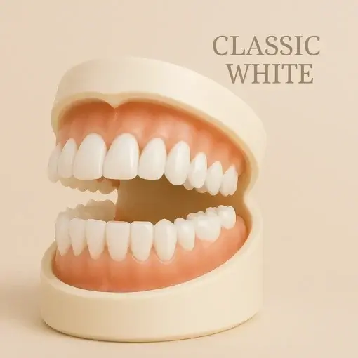 – Premium Denture - Image 6
