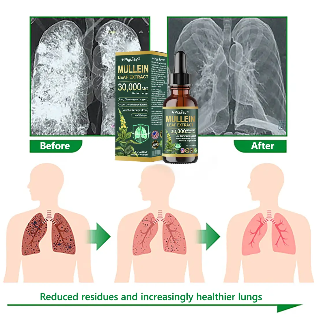 Organic Lung Cleansing Mullein Leaf Extract Drops - Image 9