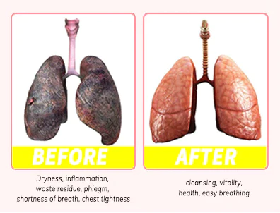 BREATHE-RIGHT DENDROBIUM & MULLEIN EXTRACT: POWERFUL LUNG SUPPORT CLEANSE & RESPIRATORY - Image 2