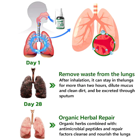 AirRelief Herbal Lung Cleanse Spray - Image 3