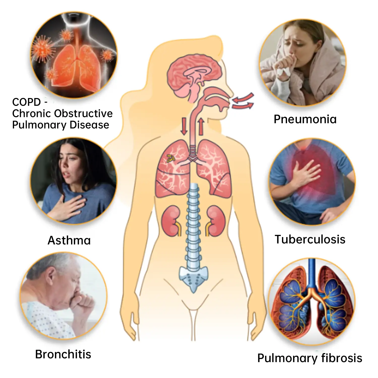 herbal lung cleansing inhaler - Image 3