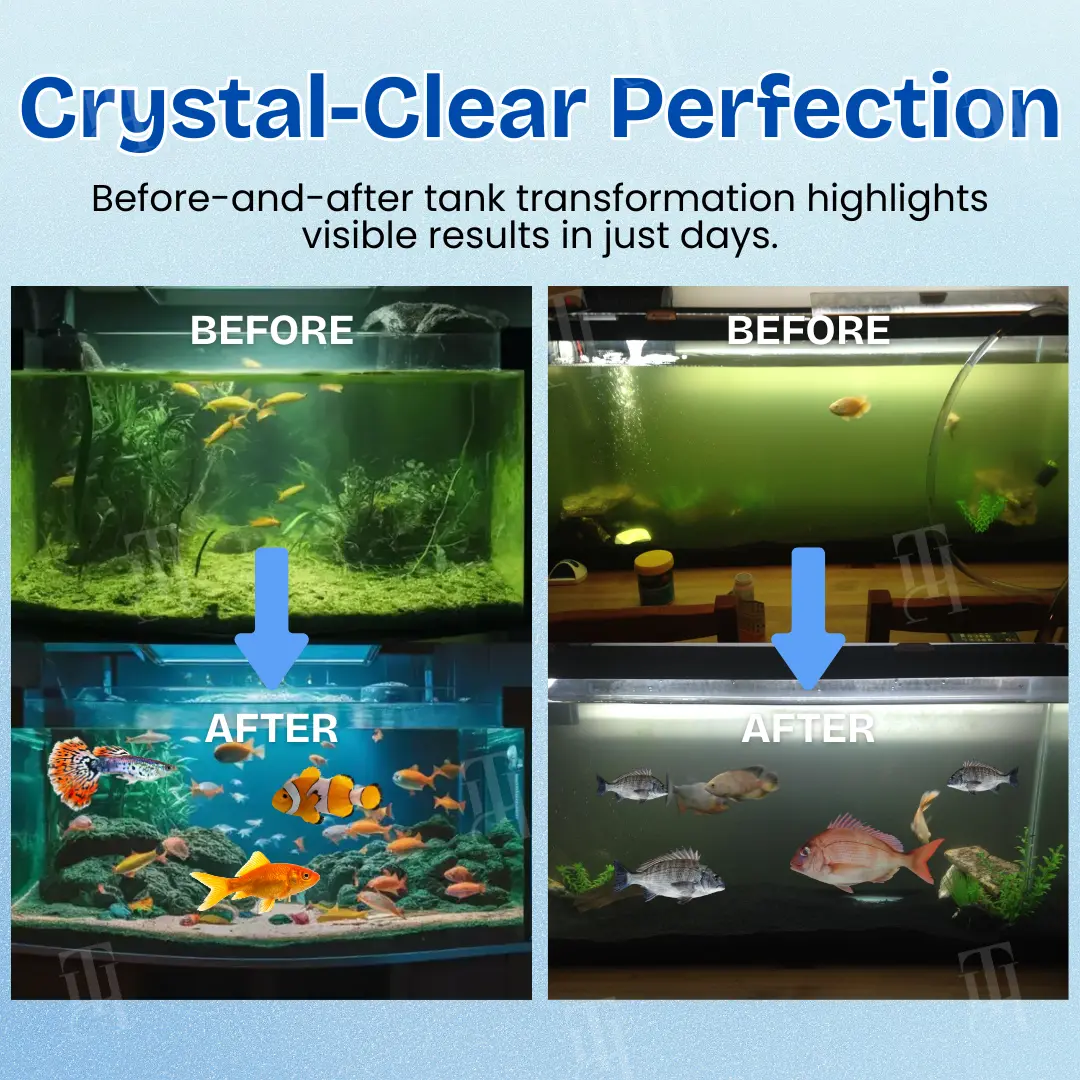 Aquariums Aqua-Guardian Blend - Image 2