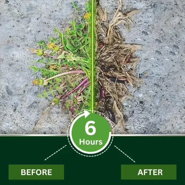 2 in 1 Max Power Herbicide - Image 5