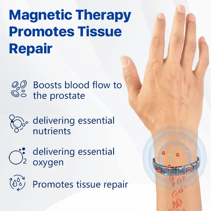 Prostate Magnetic Therapy Bracelet - Image 6
