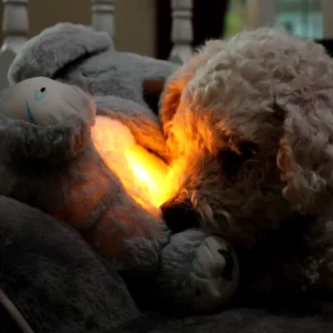 Alternative view of - Breathing Koala Plush