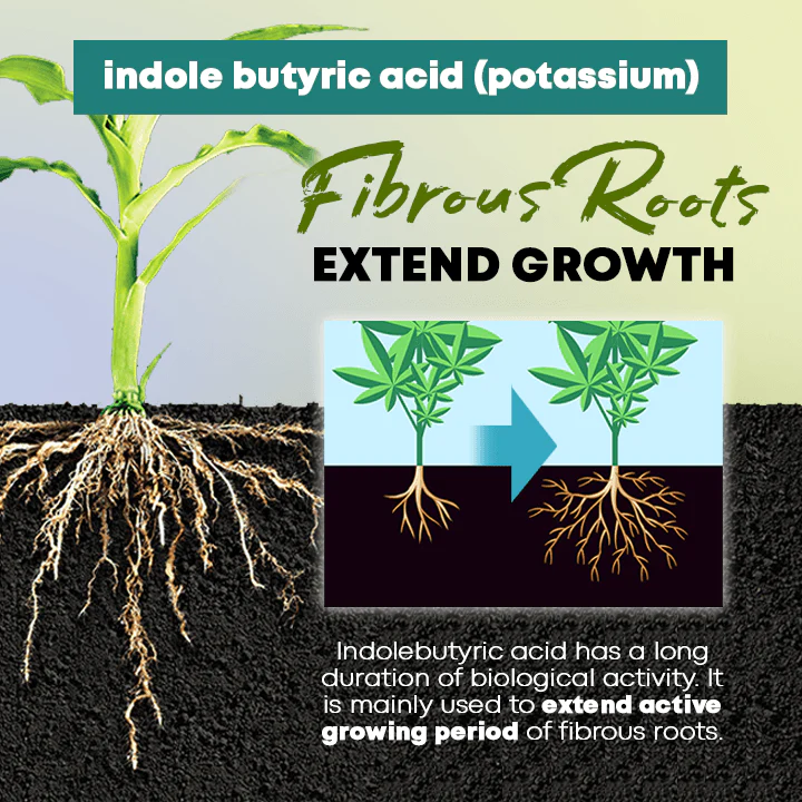 Rapid Rooting Powder - Image 5