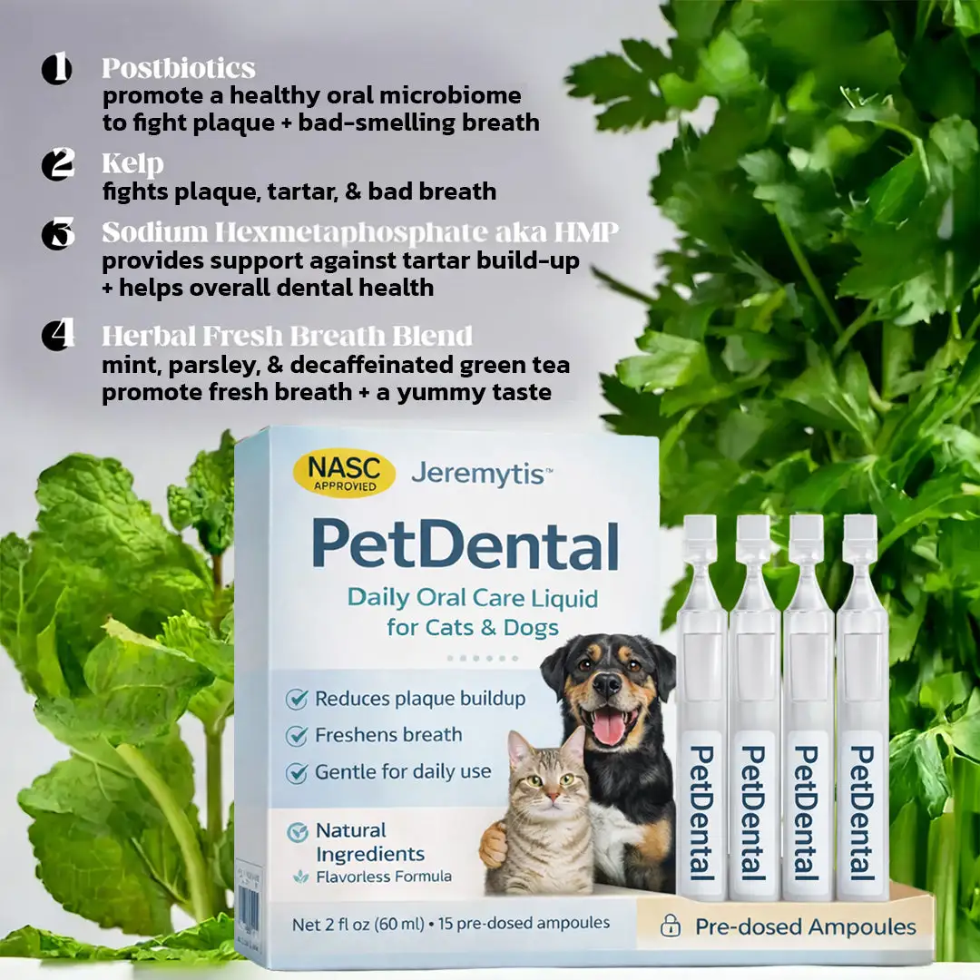 Advanced Oral Care Liquid - Image 4