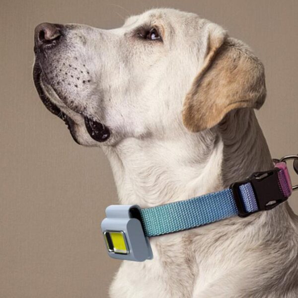Magnetic Cob Work Light - Image 4