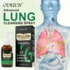 3X Concentrated Mullein Lung Cleanse Spray — Helps Soothe Throat Discomfort & Support Clearer Breathing