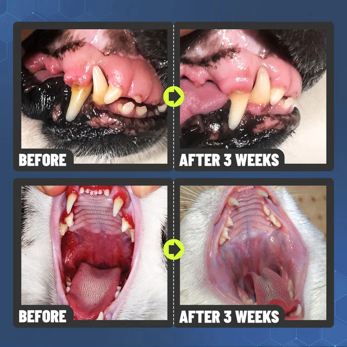 Oral Care Spray - Image 5