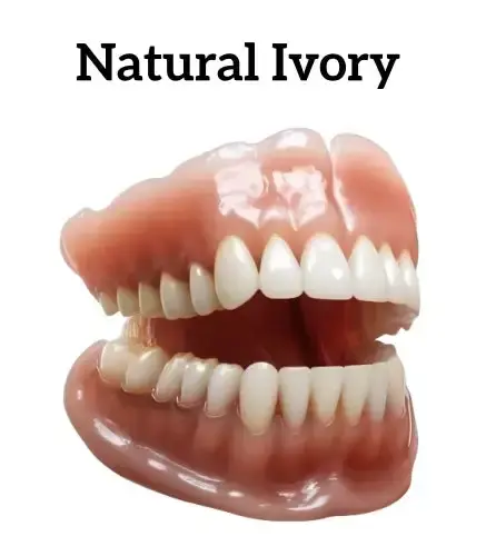 New Generation Flexible Full Denture Solution - Image 10