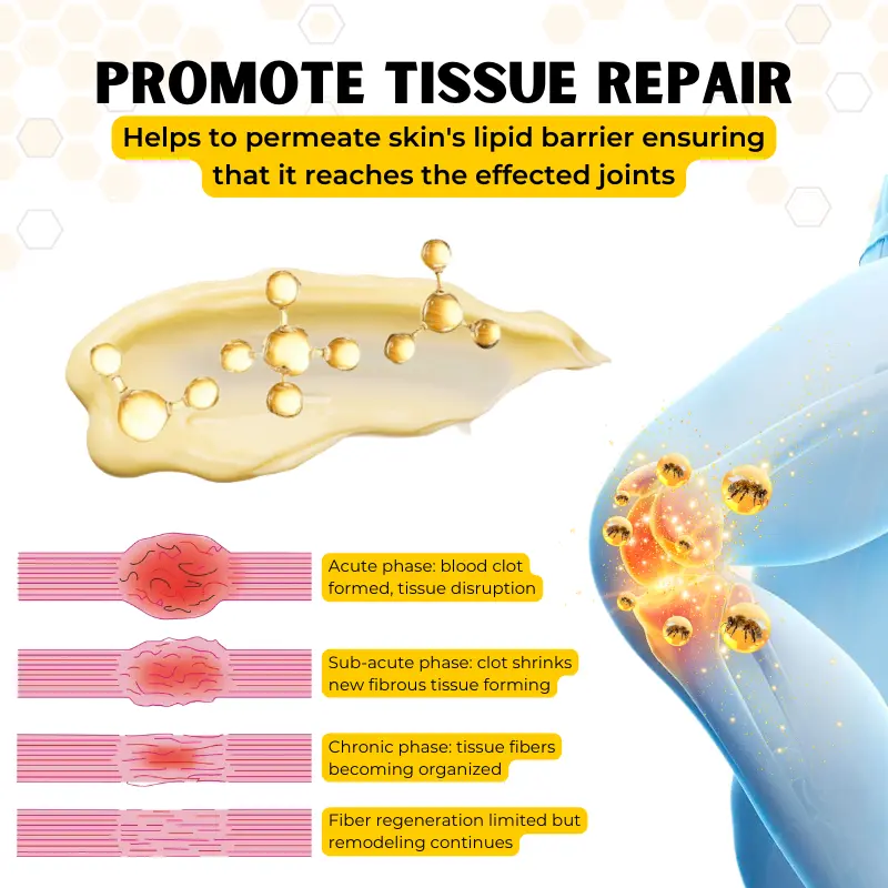 OrthoRestore Bee Venom Joint Relief Cream - Image 4