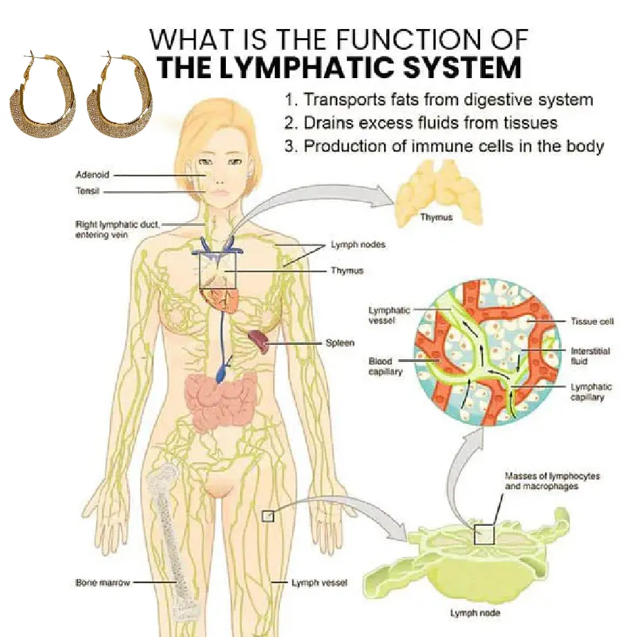 Miniyou Lymphatic Drainage Earrings - Image 4