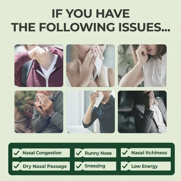 Herbal Sinus Mist - Sinus & Hay Fever Relief Spray - Image 5