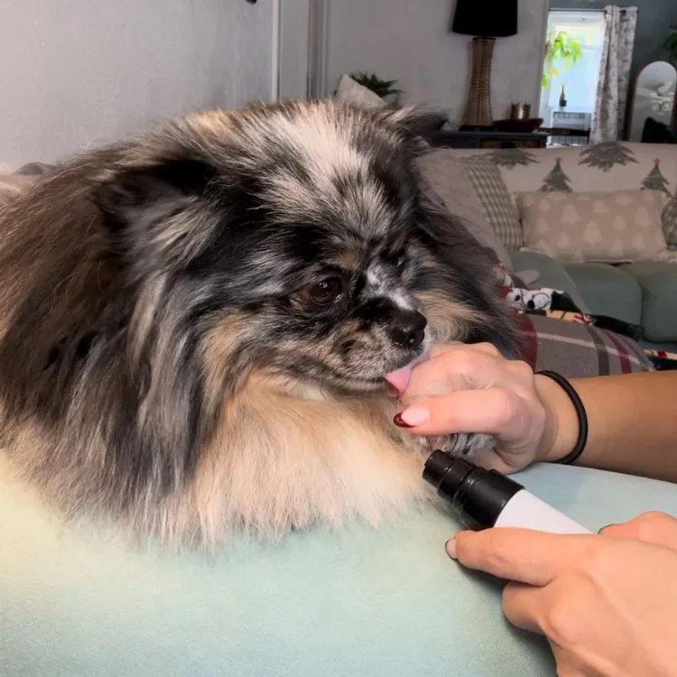 NESLEMY-QuietPaw Nail Grinder - Image 6