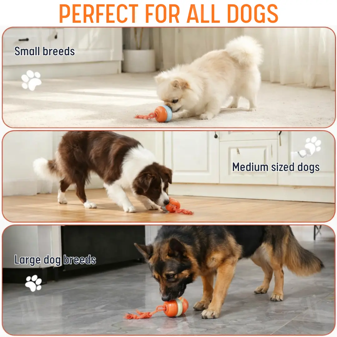 Interactive Moving Dog Ball - Image 6