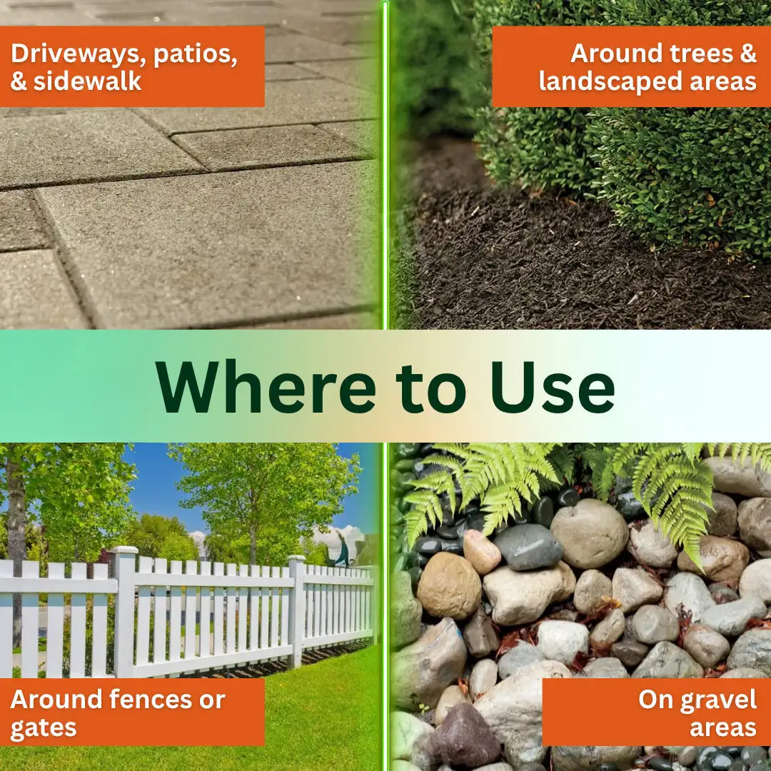 🌿 2-in-1 Weed Killer | Same-Day Results & Kills Roundup-Resistant Weeds - Image 2