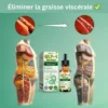 Gouttes Minceur à la Moringa