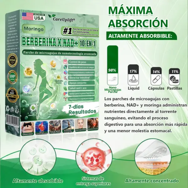 Moringa · Berberina × NAD+ 10-en-1 Advanced Nano Microneedle Patch