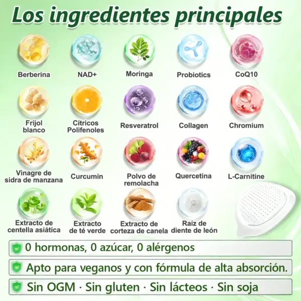 Moringa · Berberina × NAD+ 10-en-1 Advanced Nano Microneedle Patch - Image 5