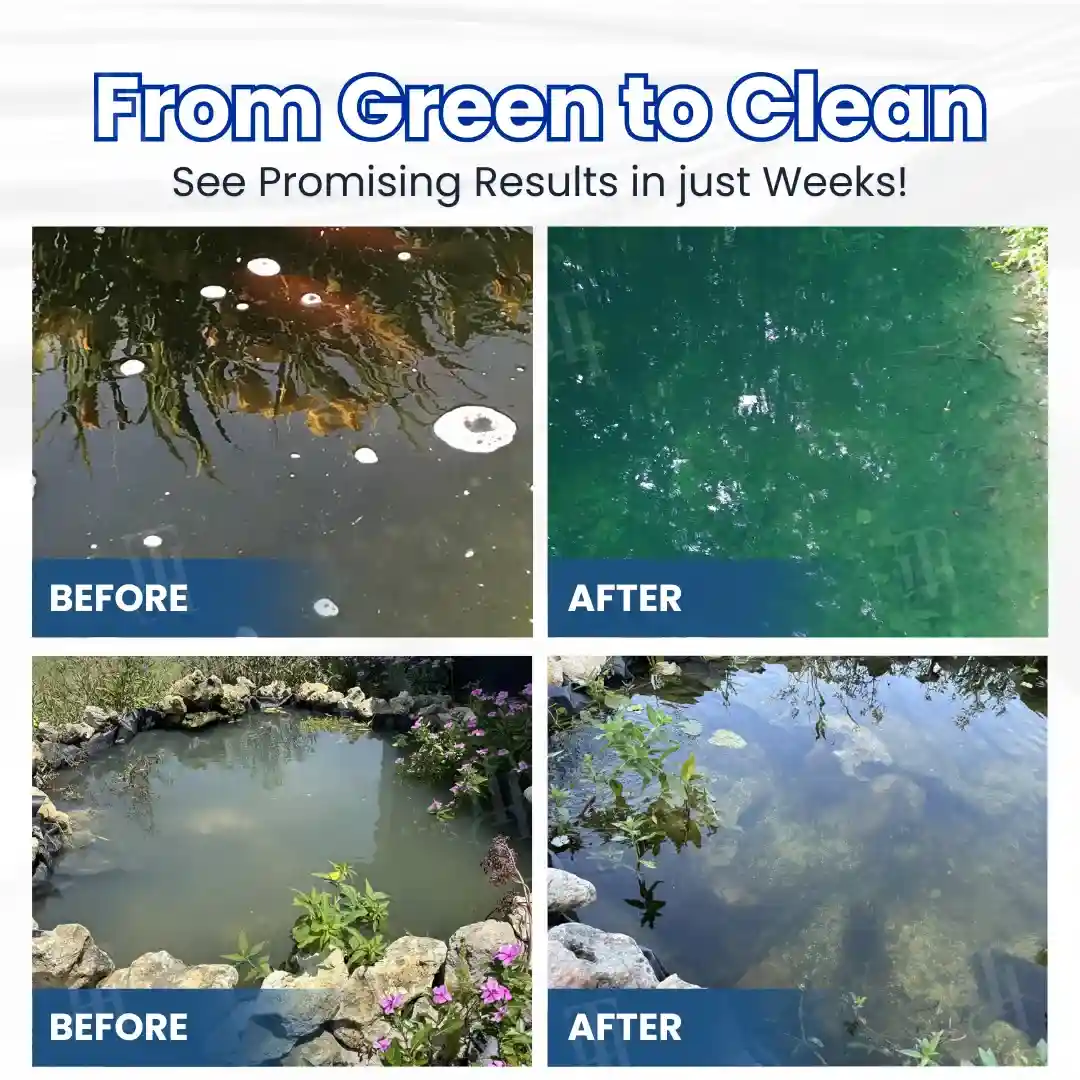Aqua-Guardian Pro Formula-Say Goodbye to Murky Water! - Image 3