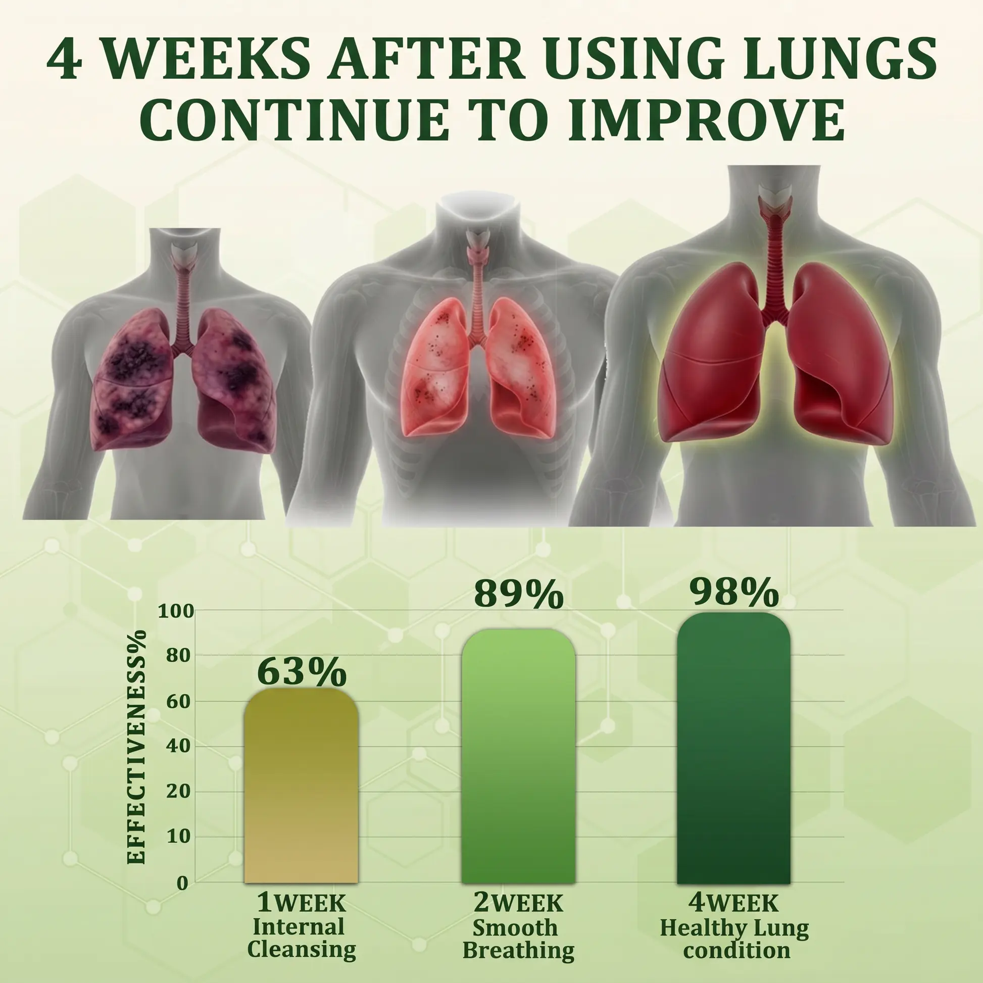 Botanical Mullein Lung Cleanse - Natural Breathing Support - Image 9