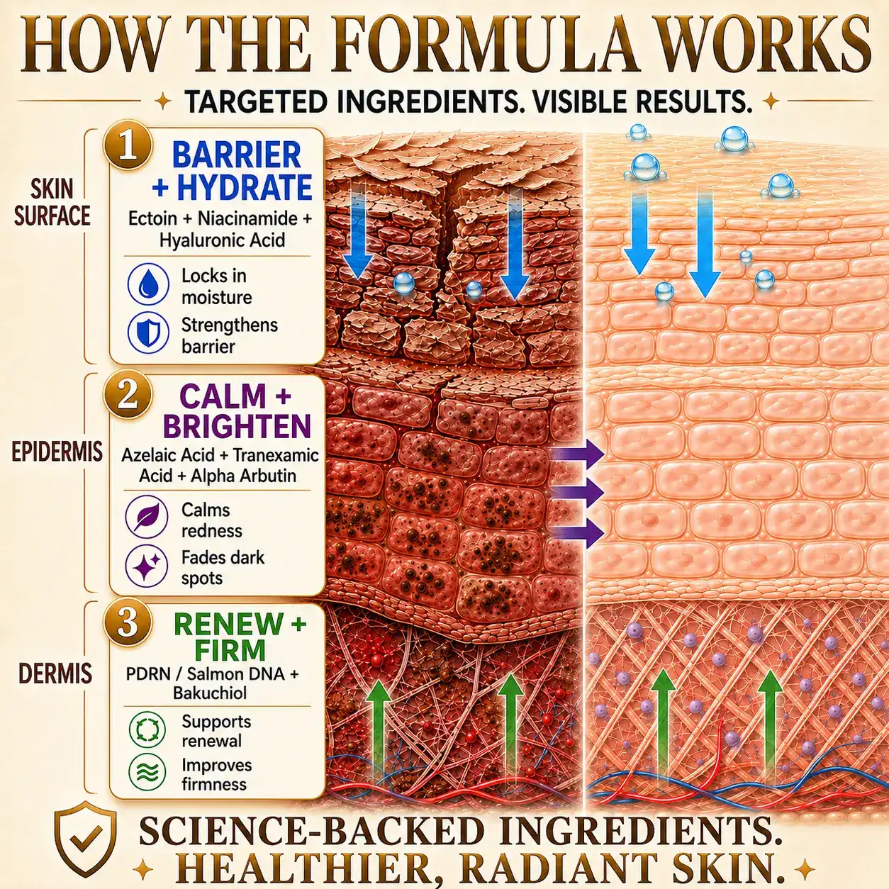 Multi-Concern Skin Repair Cream - Image 6