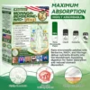 Moringa & Berberine 10-in-1 Advanced Nano Microneedle Patch